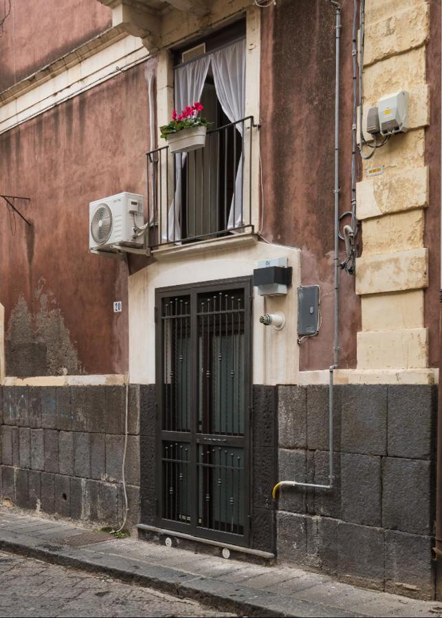 Apartament Le Pennellate Short Lets Katania Zewnętrze zdjęcie